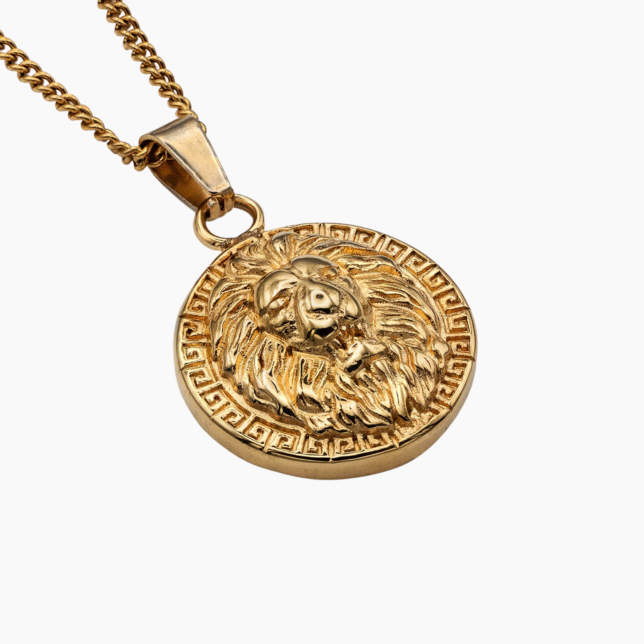 Aslan Lion Set - Gold